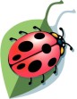 ladybug Farm link